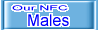 Males