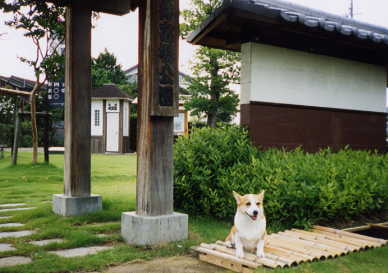 袋井宿場公園にて