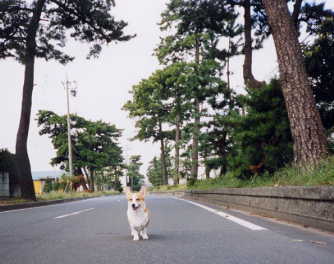 気持ちいいなぁ♪