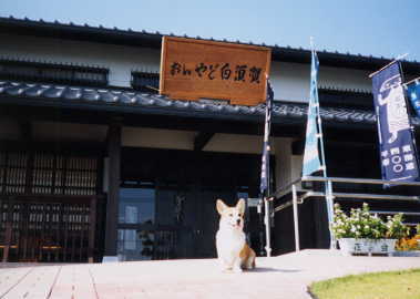 おんやど白須賀にて