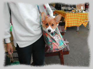 �����薺�Ȃ�ʁE�E�E