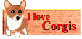 �h �������� �b����������