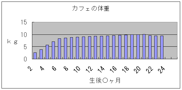 カフェの体重測定(グラフ)