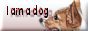 �h am a dog