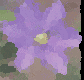 �N���}�`�X