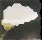 �J���[