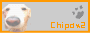 chipa chipa