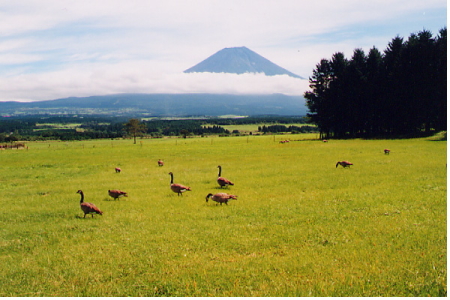 �B�e���q��2