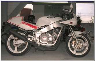 custom BIKE
