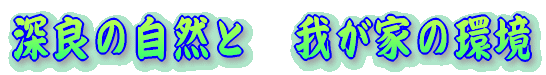 [ǂ̎R               䂪Ƃ̊ 