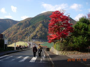 湖水の堰堤上を散策しました