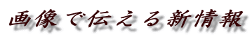 摜œ`V