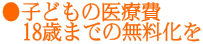 ���q�ǂ��̈�Ô� �@18�΂܂ł̖�������