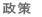 政策 