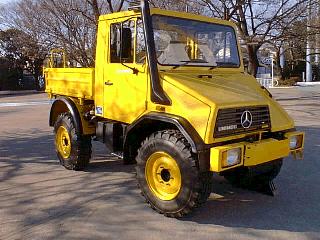 �����Z�f�X �E�j���O