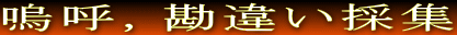 �j�āC���Ⴂ�̏W
