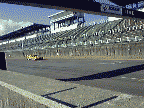 r33ani1.gif (94429 oCg)
