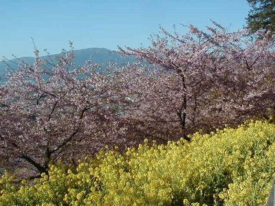 �x�m�R�Ɖ͒Í�