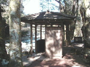 ���{�ٌ���