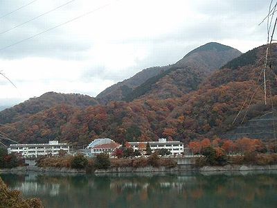 �g�t����