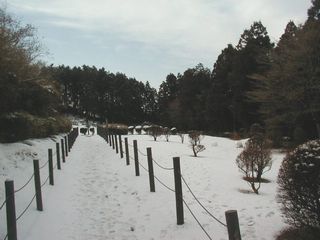 雪1