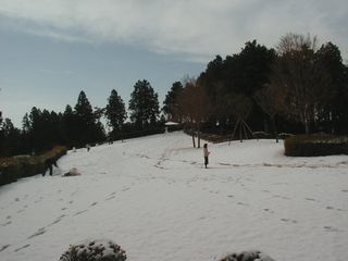 雪2
