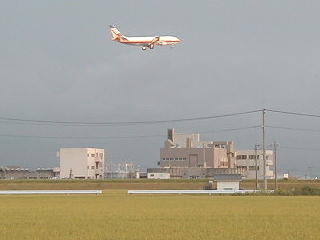 飛行機