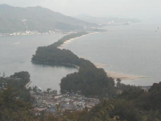 �V�����P