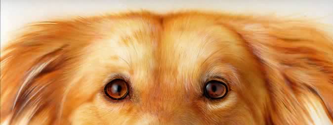 ���̃C���X�g�ё���`���񂾓��`�摜1