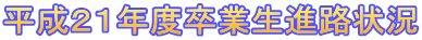 �����Q�P�N�x���Ɛ��i�H�� 
