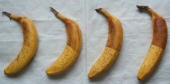 バナナ4本
