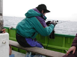 �������t���A�Ɠ��I