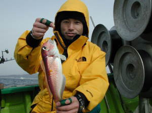 �A�}�_�C�Q�b�g