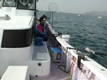 �ނ���̗l�q