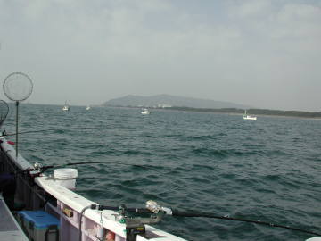 �O�ۉ��̗l�q