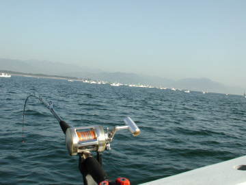 �������D�������ς��ł���