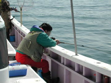 �A�^���͂܂����[�i�����������j