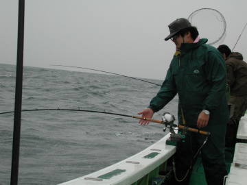 ����1����ł��B