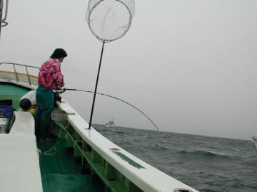 �������O�ۂł�