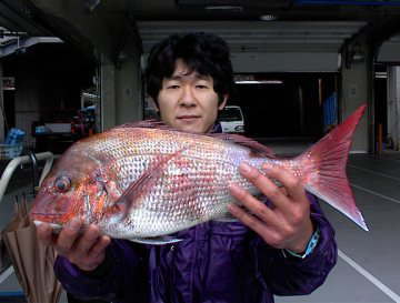 ������ˁI�啨��