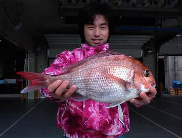 �܂��܂��̌���