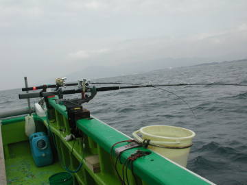 �ނȂ����E�E�E�B