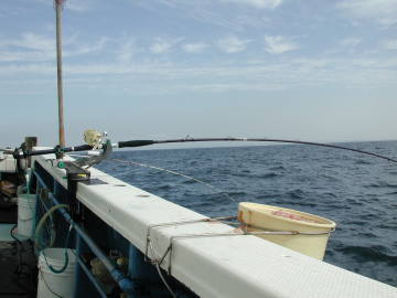 �V�}�m�E�C�U�}�_�C�l360�����ς݁B