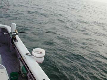 �����g��