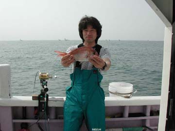 ������މ�